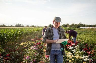 Quel commerce ouvrir dans un village ?