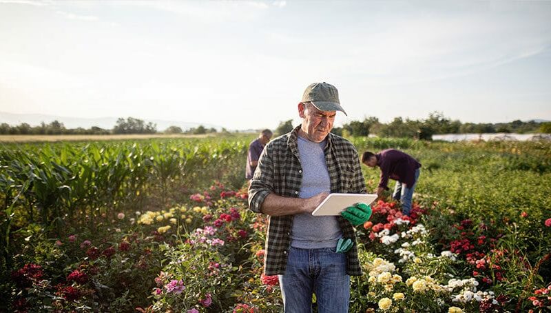 Quel commerce ouvrir dans un village ?